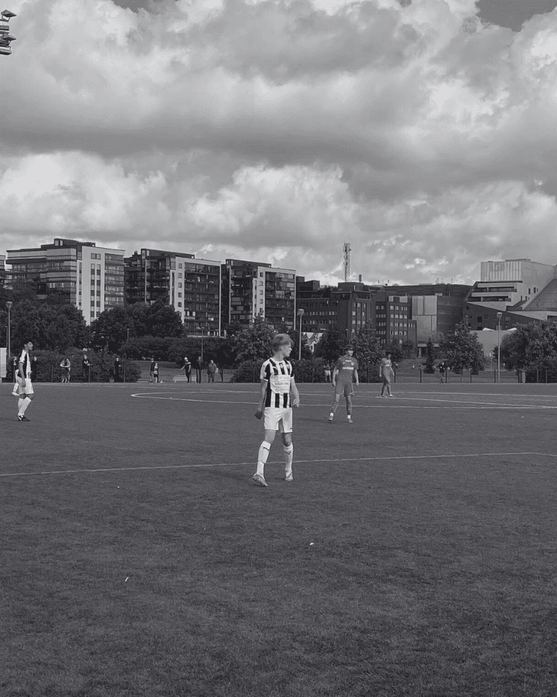 Harjoittelu ja kehitys